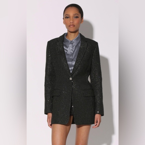 Walter Baker Jackets & Blazers - NWOT Walter Baker Trishelle, Sparkle Stripe Tweed Blazer Size X-Small